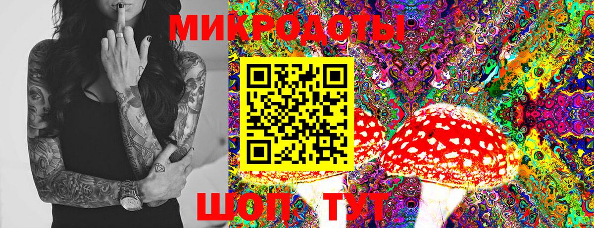 Галлюциногенные грибы Magic Shrooms  Псилоцибиновые грибы мицелий  Александров  Вход с VPN 